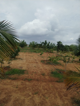 Property for sale in Mucherla, Hyderabad