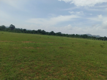 Agricultural/Farm Land for Sale in Kadthal, Hyderabad (606 Sq.ft.)