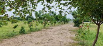 Residential Plot for Sale in Bibi Nagar, Hyderabad (606 Sq. Yards)