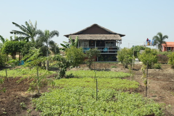 Residential Plot for Sale in Bibi Nagar, Hyderabad (302 Sq. Yards)