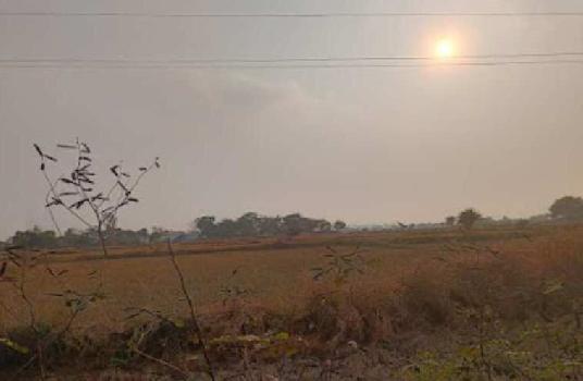 52 Acre Agriculture  Plot For Sale in Ghorbhatti, Gobra Nayapara, Raipur, Chhattisgarh