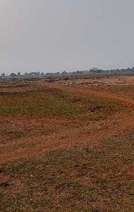 52 Acre Agriculture  Plot For Sale in Ghorbhatti, Gobra Nayapara, Raipur, Chhattisgarh