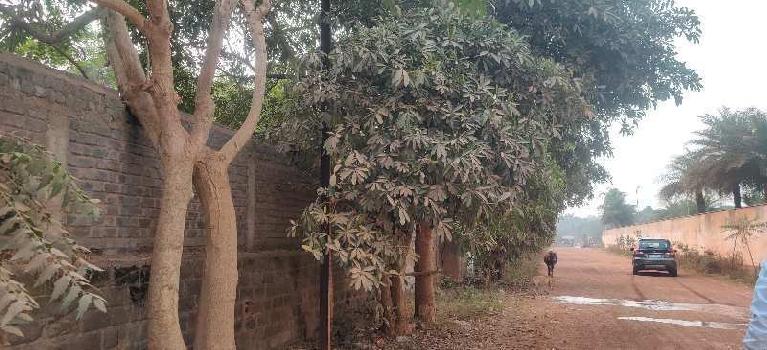 Property for sale in Jora, Raipur