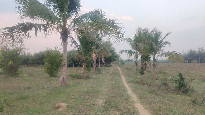 105 Acre Agricultural/Farm Land for Sale in Abhanpur, Raipur