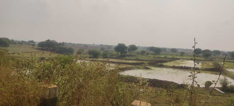 155 Acre Agriculture Land For Sale At Village Pausari, Bemetara, Chhattisgarh.
