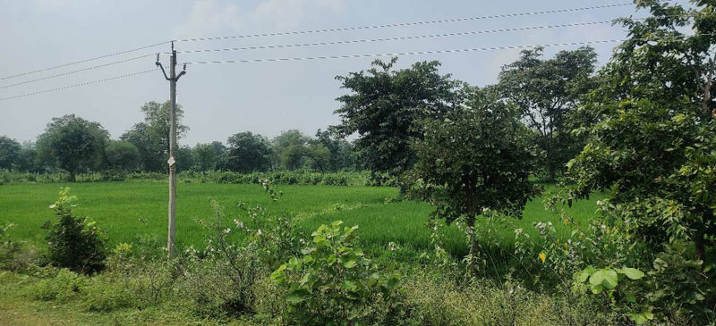 10 Acre Plot For Sale At Village Charoda, Bhilai, Arang, Bharatmala, Arang Durg By Bharatmala NH Arang To Durg By Pass Road Naya Raipur Chhattisgarh.