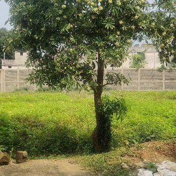 Property for sale in Naya Raipur, Raipur