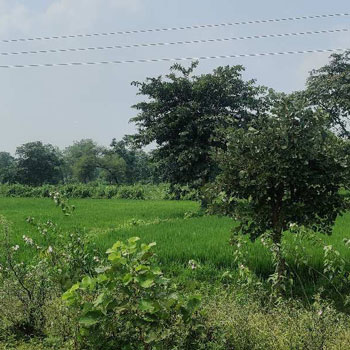 Property for sale in Naya Raipur, Raipur