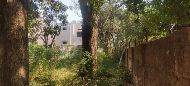 9033 Sqft Residential Diversions Plot For Sale At Near Appu Sweet, Deen Dayal Upadhyay Nagar Rohnipuram Road, Behind Science College, University, Raipur, Chhattisgarh.