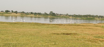 Property for sale in Naya Raipur, Raipur