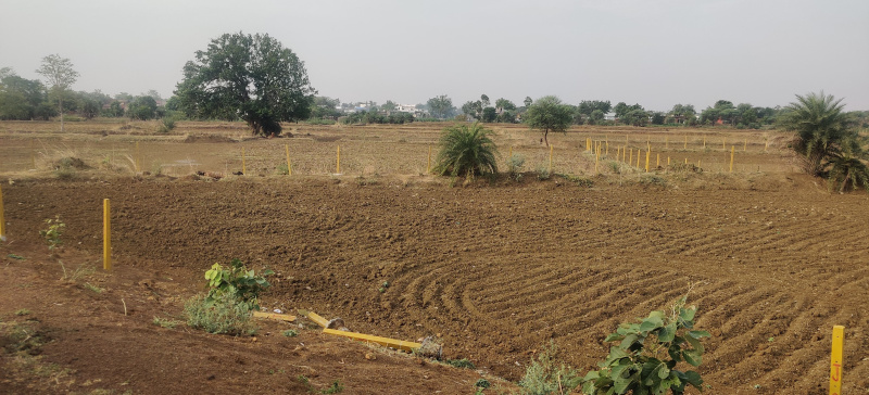12 Acre Agriculture Land For Sale At Behind Naya Raipur Farm House Projects, Village Parsada Sundarkera, Torla, Gobara, Nayapara, Raipur, Chhattisgarh.