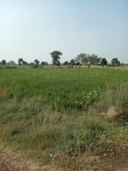 8 Acre Land For Sale In Kurru, Atal Nagar, Naya Raipur, Chhattisgarh, Bharat.