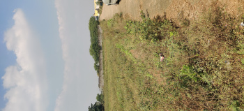 40000 Sqft & 52000 Sqft Farm House Land For Sale At Village Dharampura Farms House Area, Naya Raipur Layer 2, Raipur Chhattisgarh.