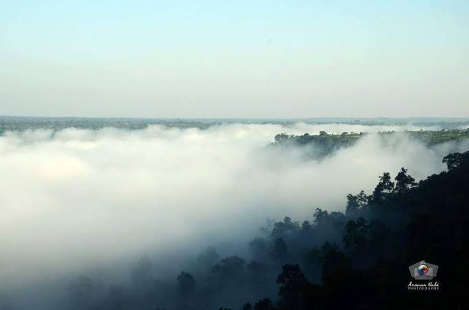Agricultural/Farm Land for Sale in Keshkal, Bastar (104 Acre)