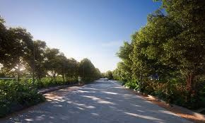 Property for sale in Jora, Raipur