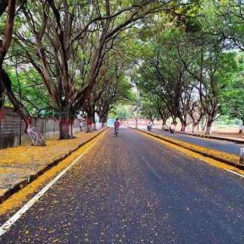 Property for sale in Civil Lines, Raipur