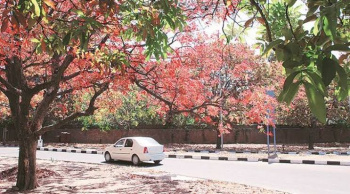 Property for sale in Civil Lines, Raipur