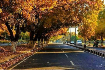8585 Square Feet Corner Commercial Plot For Sale At Civil Lines Raipur Capital Of Chhattisgarh Bharat
