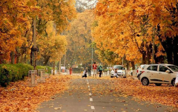 Property for sale in Civil Lines, Raipur