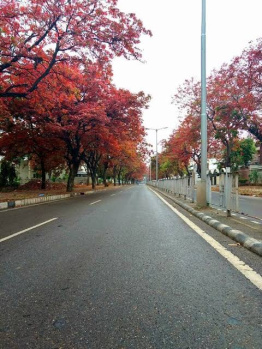 Property for sale in Civil Lines, Raipur