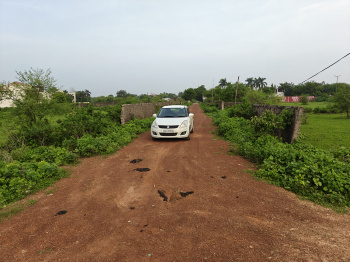 Property for sale in Amlidih, Raipur