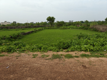 10000 Square Feet Residential Plot For Sale At Shiv Vatika Atmosphere Road Amlidih VIP Airport Road Raipur Chhattisgarh