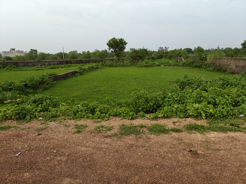 10000 Square Feet Residential Plot For Sale At Shiv Vatika Atmosphere Road Amlidih VIP Airport Road Raipur Chhattisgarh