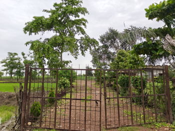 30 Acre Agriculture Plot Sale At Deokar Bemetara District Chhattisgarh Bharat India