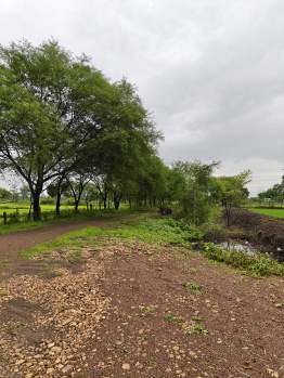 Property for sale in Nawagarh, Bemetara