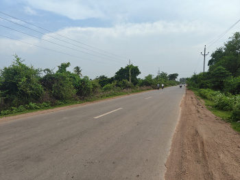 Property for sale in Nawapara Rajim, Raipur