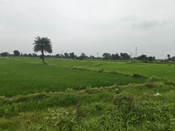 4.55 Acre Commercial Plot For Sale At Village Sunderkera, Gobara Nawapara, Raipur Chhattisgarh Bharat.