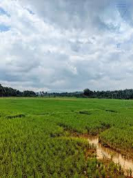 Property for sale in Berla, Bemetara