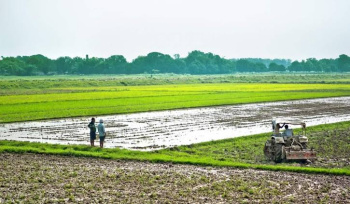 Property for sale in Berla, Bemetara