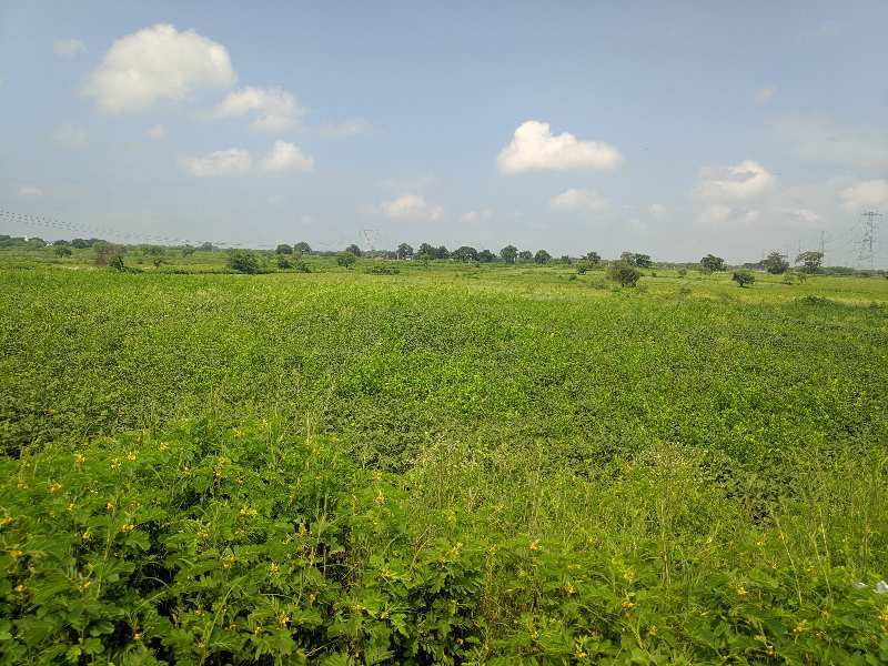 Agricultural/Farm Land for Sale in Civil Lines, Raipur (10 Ares)