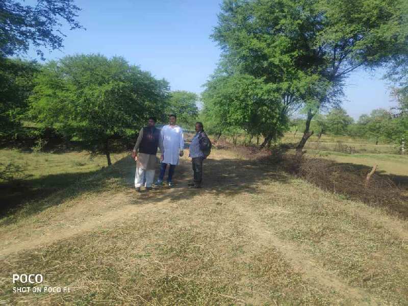 52 Acre Agriculture Plot For Sale At NH30 / NH200 To Saddu, Sungera, Tilda, Raipur, Chhattisgarh.