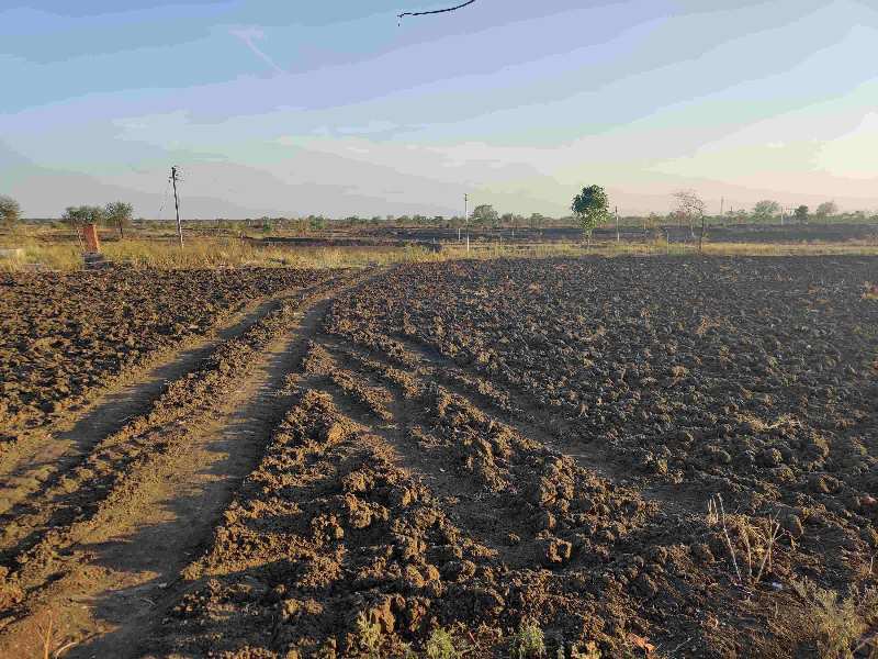 60 Acre Agriculture Black Soil Farming Land Fir Sale At  Jhiriya USHLAPUR Nandghat Mungeli Bemetara Roads Chhattisgarh India