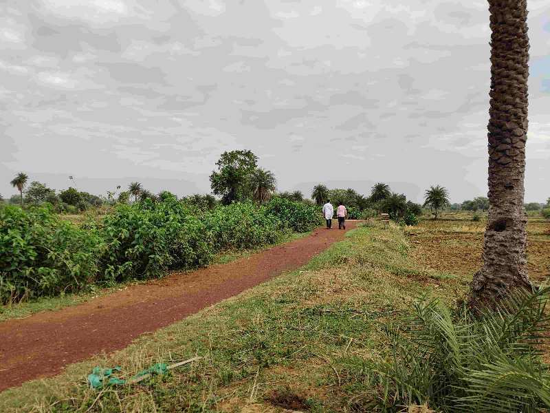 2Acre Agriculture Farming Farm House Use Land ,Tenduva, Banjari, POUTA , Naya Raipur, Raipur Capital Of Chhattisgarh.