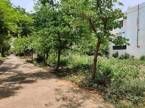 Property for sale in Shankar Nagar, Raipur