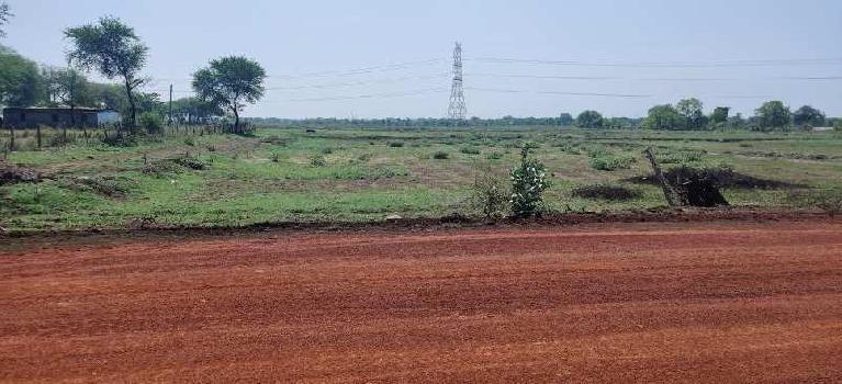 8.620 Acre Agriculture Plot For Sale, At Village Kohadiya Borai,Tahsil Berla, District Bemetara, Chhattisgarh,