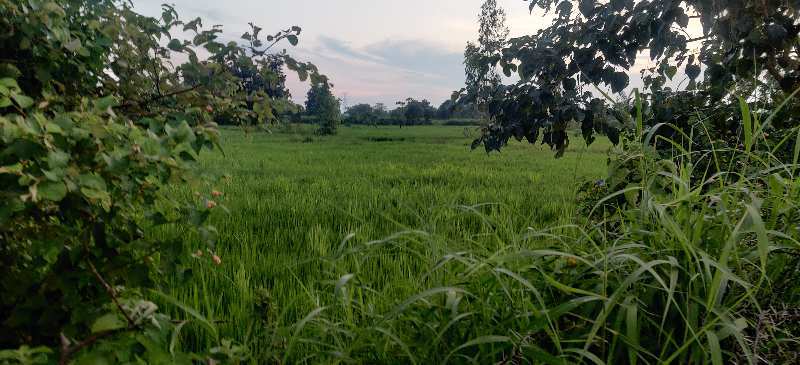 26 Acre Agriculture Plot For Sale At Village Harinbhattha, Simga, Raipur Capital Of Chhattisgarh.