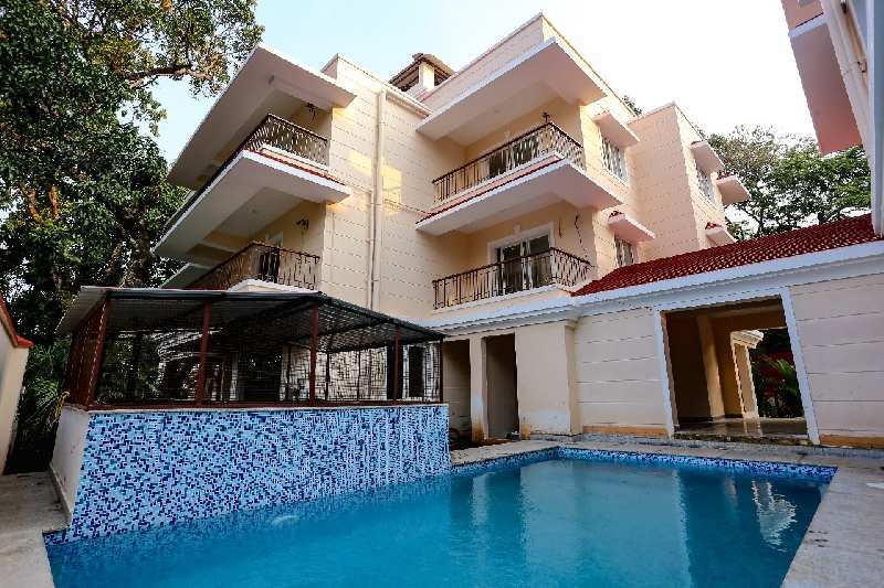 1 BHK Flats & Apartments for Sale in Siolim, North Goa, Goa (700 Sq.ft.)
