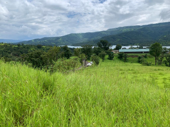 15 Acers farm land for sale in Tapola