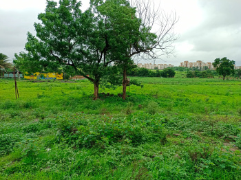 15 Acers land for sale in Kamshet Pune.