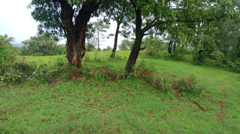 14 Acers land for sale Tapola, Mahabaleshwar