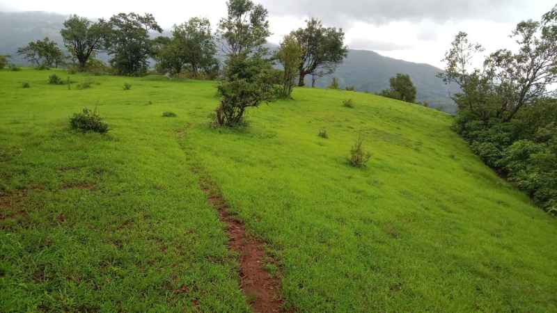 14 Acers land for sale Tapola, Mahabaleshwar