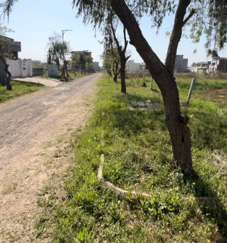100 Sq. Yards Residential Plot for Sale in Sector 89, Mohali