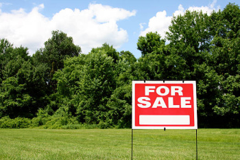 100 Sq. Yards Residential Plot for Sale in Sector 78, Mohali