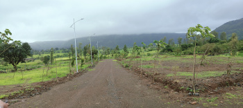 Trimbak Pahine wada bhiwandi road tuch farmhouse plots vhery prime location opposite harihar fort