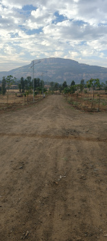 Trimbak Pahine takhe harsh shivar opposite harihar fort farmhouse plots