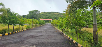 Farmhouse plots opposite harihar fort trimbak Pahine wada road tuch vhery beautiful location